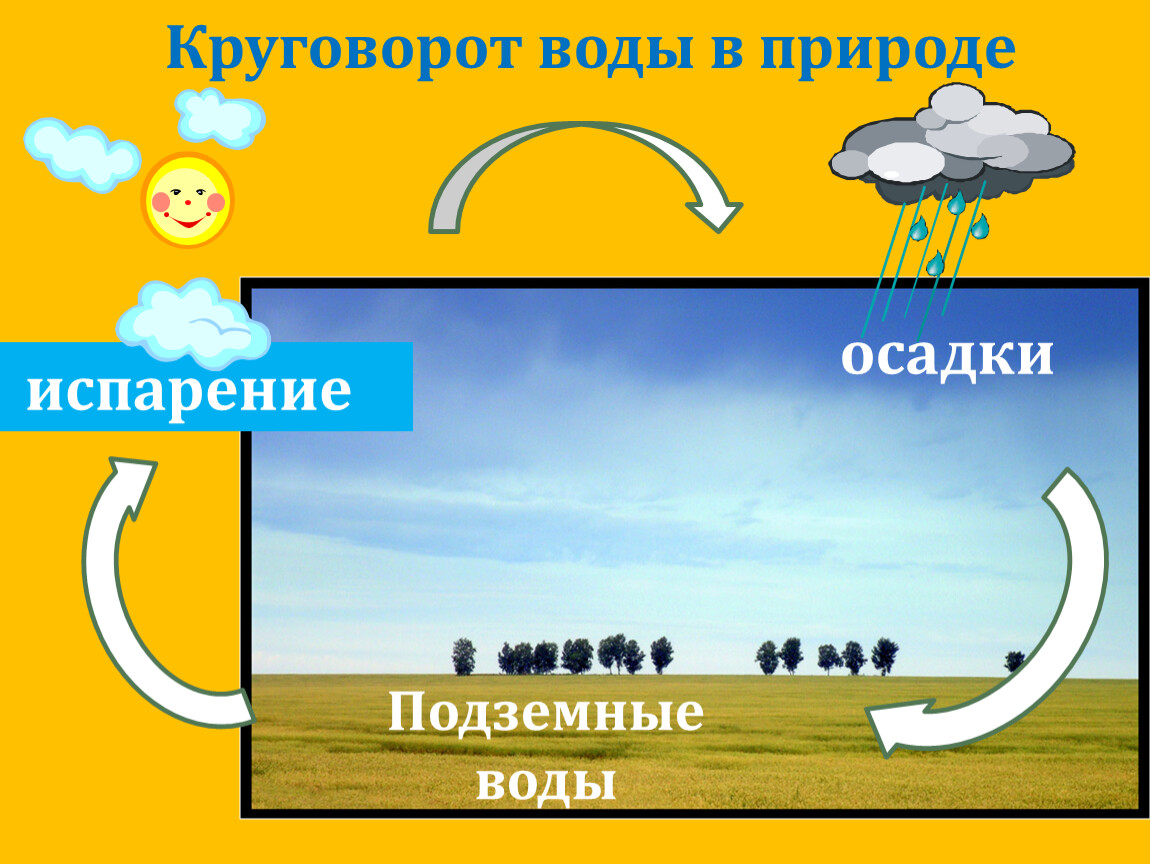 Испарение осадки. Круговорот воды в природе. Круговорот воды в природе Граф. Осадки подземных вод.