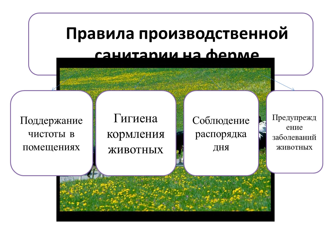 Регламент производственной деятельности