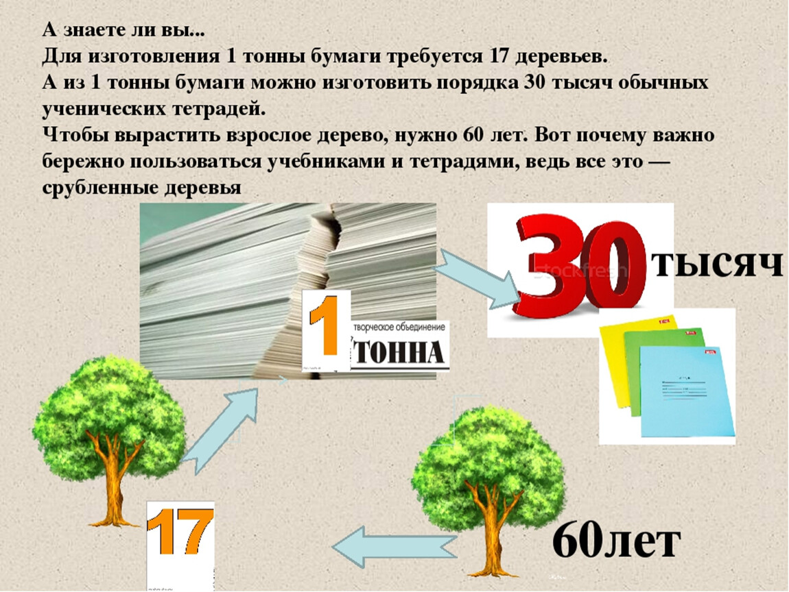 Сколько листов в дереве. Деревья для производства бумаги. Сколько деревьев уходит на лист бумаги. Сколько кг бумаги из 1 дерева. Сколько бумаги получается из одного дерева.