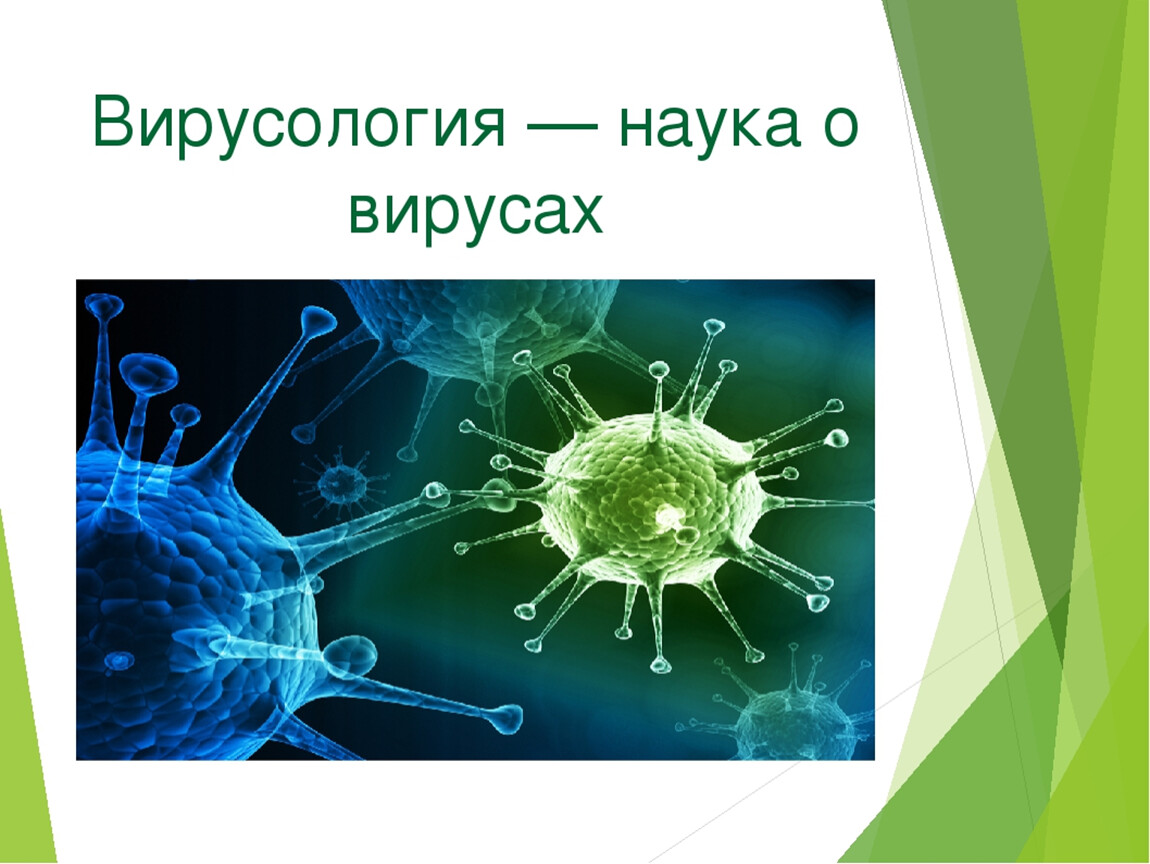 Вирусы урок биологии. Вирусология. Вирусология вирусы. Биология тема вирусы. Вирусология это наука.