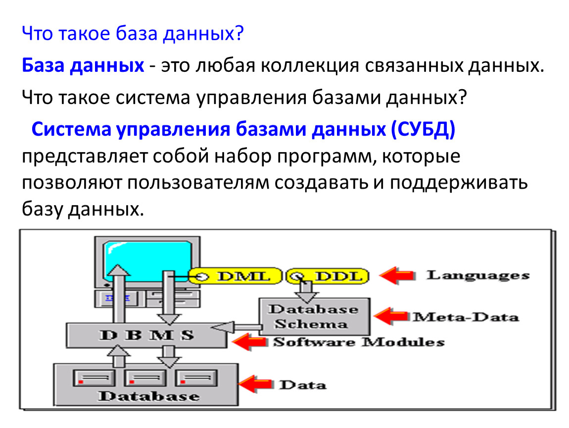 Что такое база. База. ПАЗ. Беза. Система баз данных.