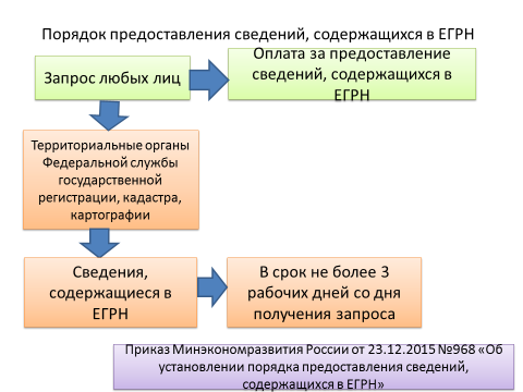 Срок предоставления егрн