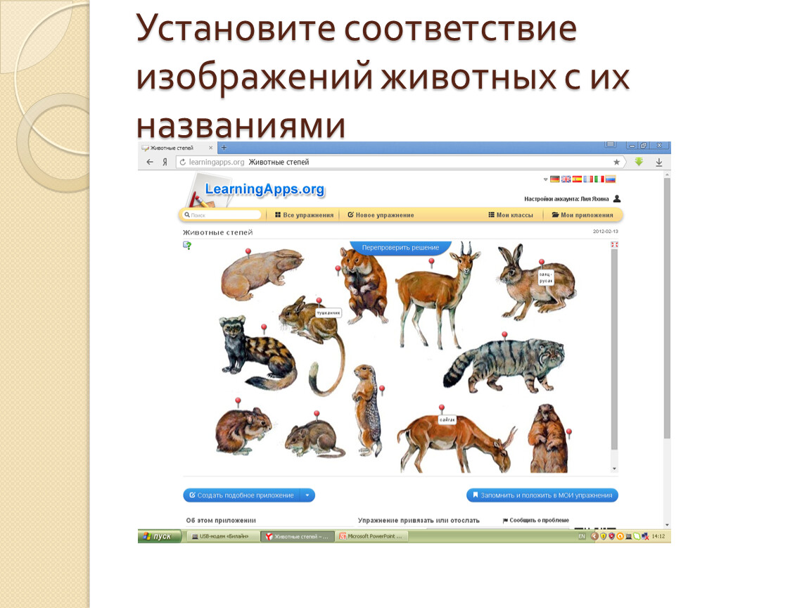 Показано в соответствии с рисунком. Установите соответствие звери. Установи соответствия картинки и названия. Соответствие по картинке. Установи соответствие картинка.