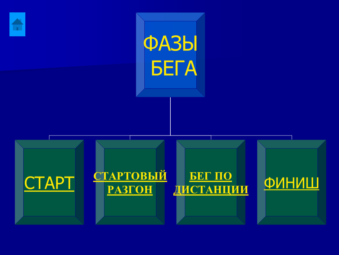 Фазы бега. Бег фазы. Перечислите фазы бега. Три фазы бега.