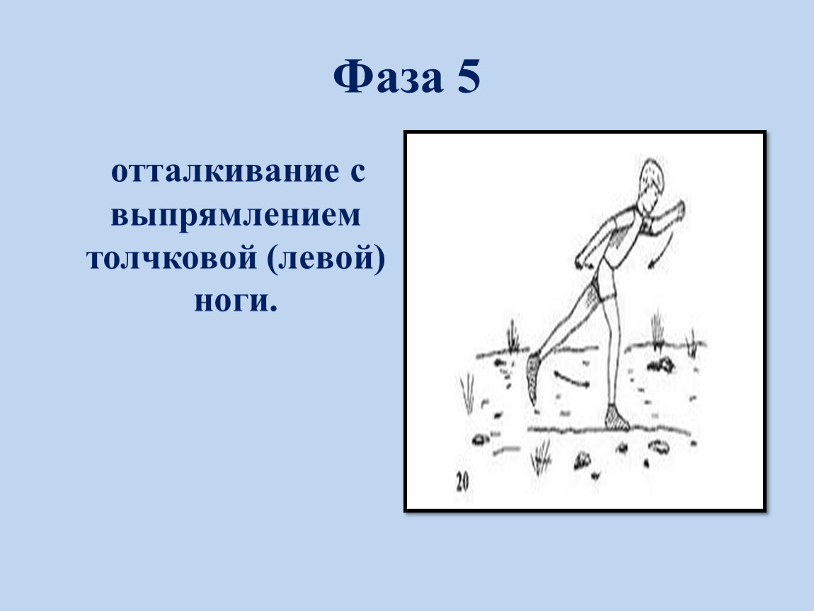 Фазы ходов. Отталкивание с выпрямлением толчковой (левой) ноги.. Фаза 5 - отталкивание с выпрямлением толчковой (левой) ноги.. Фаза 5 отталкивание с выпрямлением. 5-Я фаза - отталкивание с выпрямлением толчковой ноги.