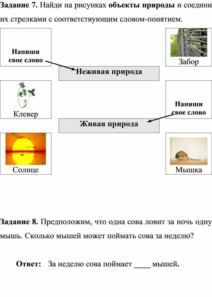 Объекты природы ответы. Соедини стрелками объекты природы с соответствующим словом-понятием. Найти объекты природы. Соедини стрелками объекты. Соедини стрелками объекты природы.