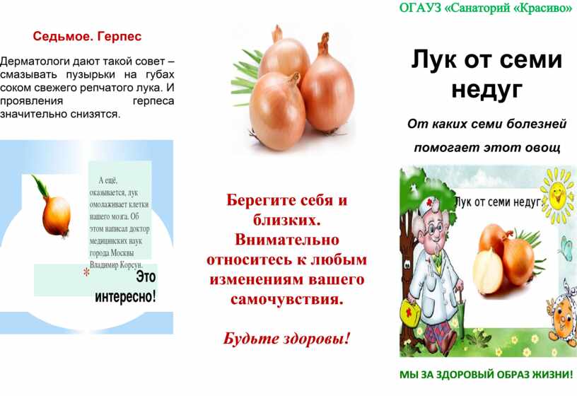 Лук от семи недуг картинка для детей