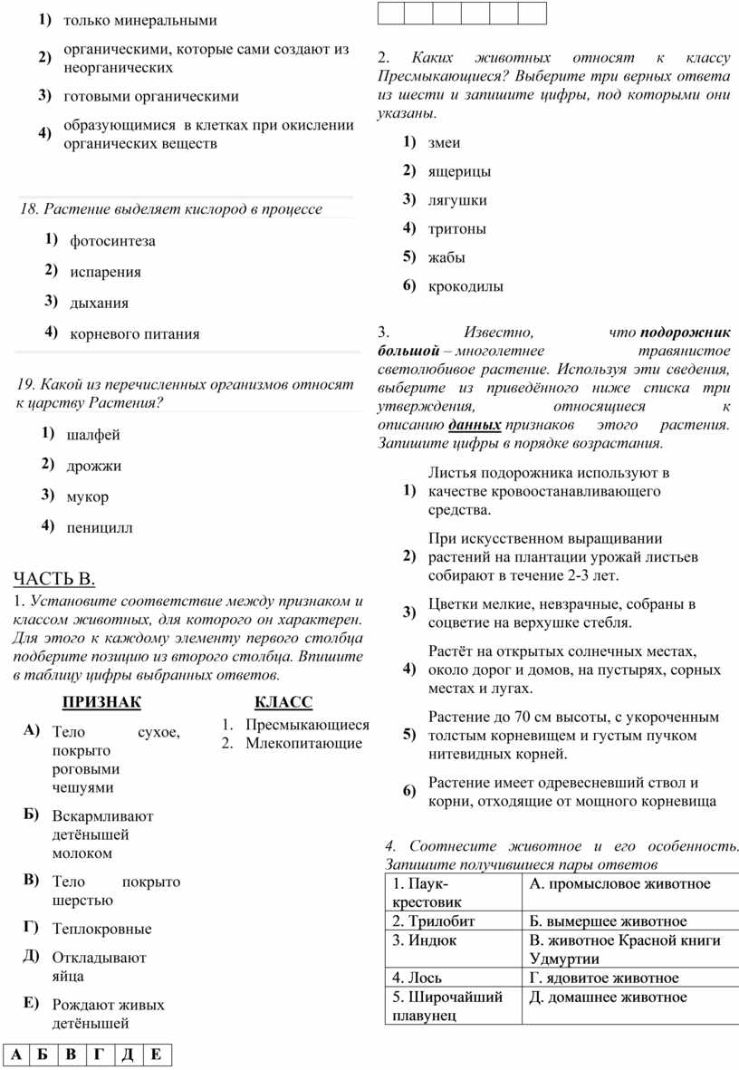 Животное имеющее мягкое на ощупь нечленистое тело раковину и мантию относят к типу