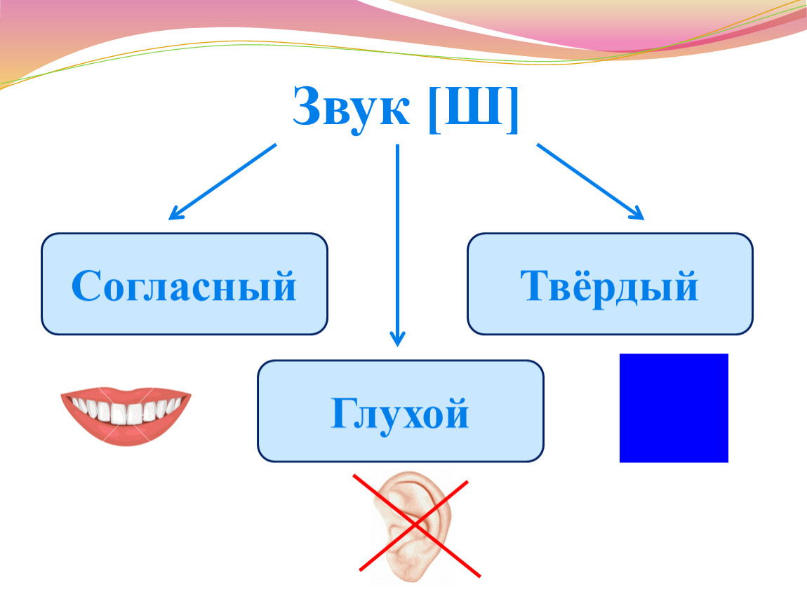 Дайте характеристику звукам ж. Звук ш согласный глухой твердый. Характеристика звука ш 1 класс. Характеристика звука ш. Охарактеризуйте звук ш.