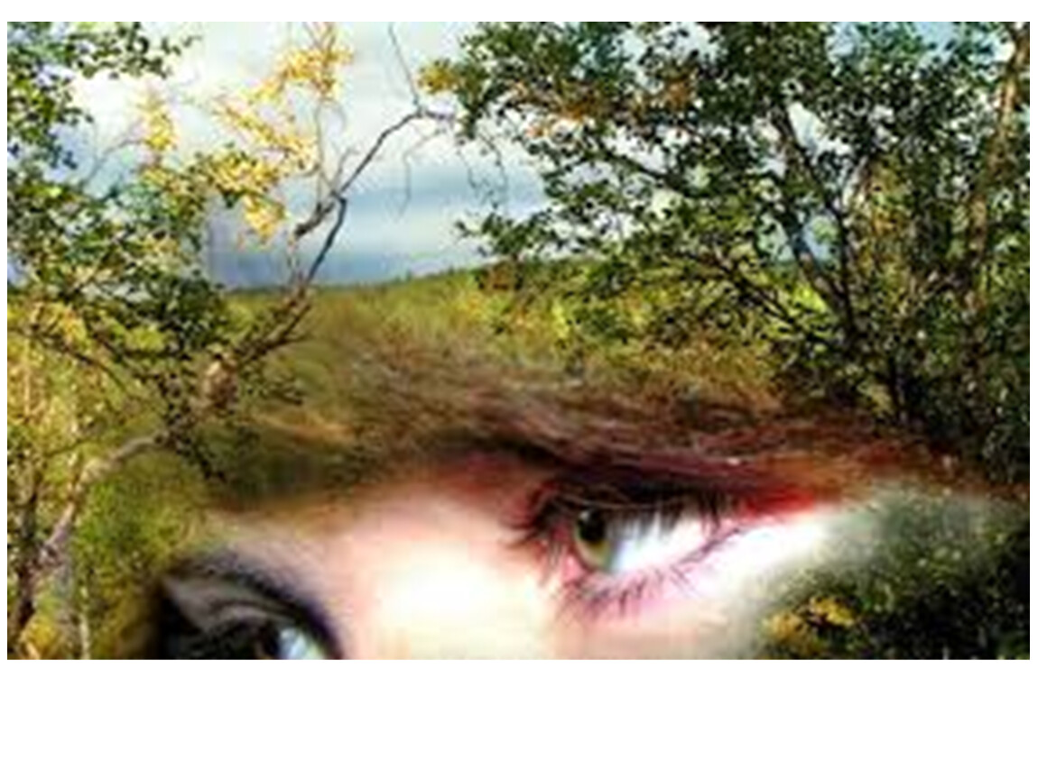 Матушка земля минусовка с бэком. Фото женских глаз на фоне природы. Матушка земля клип. Глаза женские на фоне животных и природы фото.