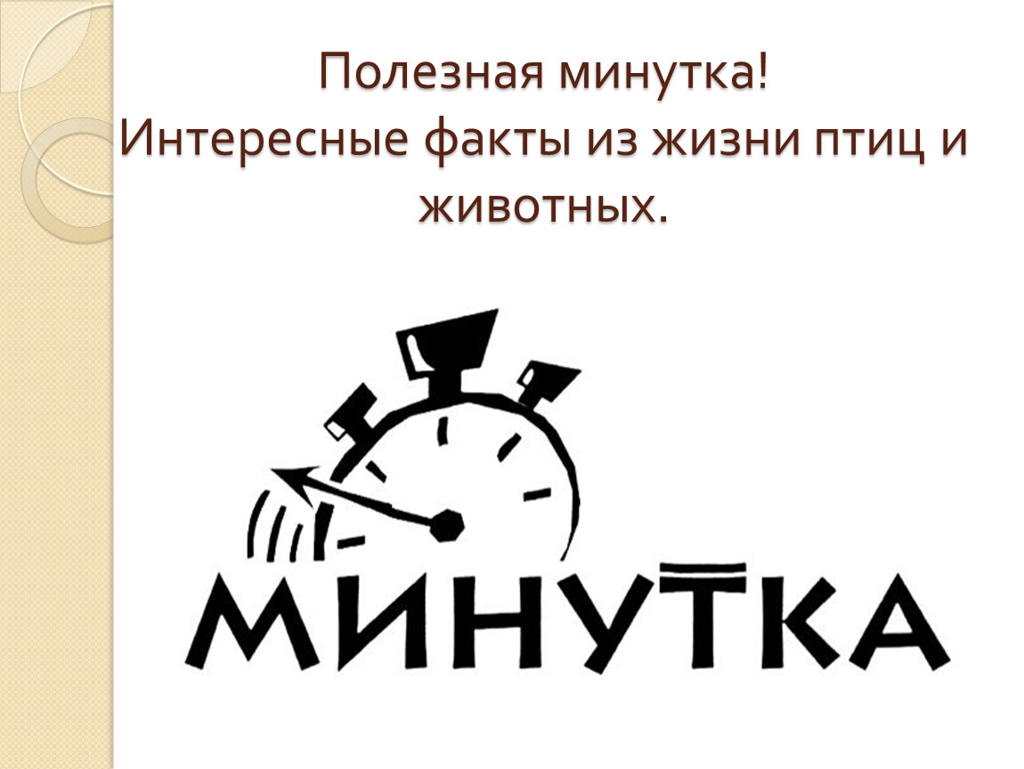 Минутка истории картинка