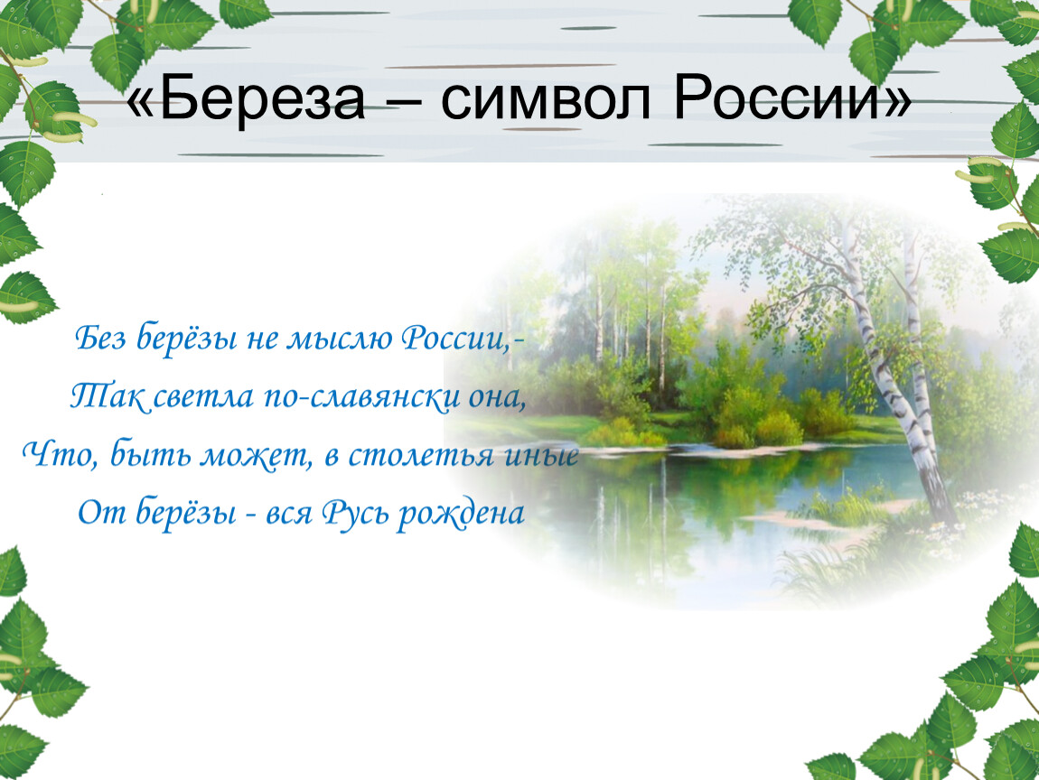 Презентация береза символ россии для дошкольников