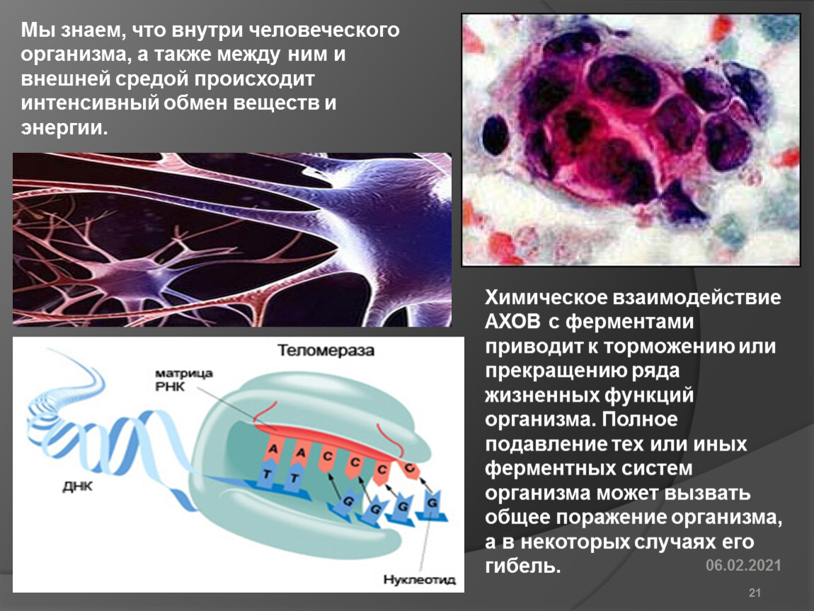 Что произошло в среду. Обведи то что происходит внутри организма. В сенсорообогащенной среде наблюдается. Пойивленя вирус внутри организма.