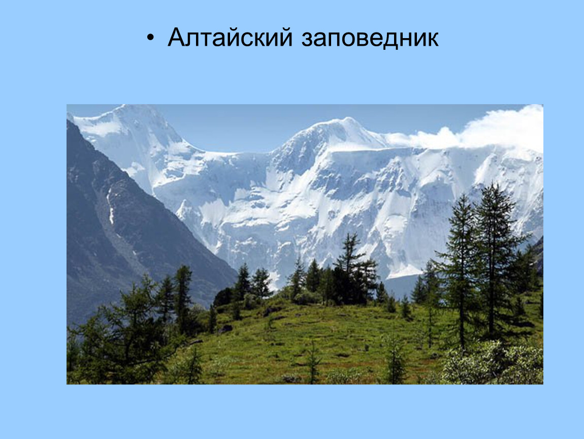 Алтайские горы проект