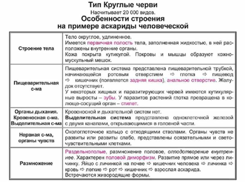 Весь курс школьной программы биология в схемах и таблицах