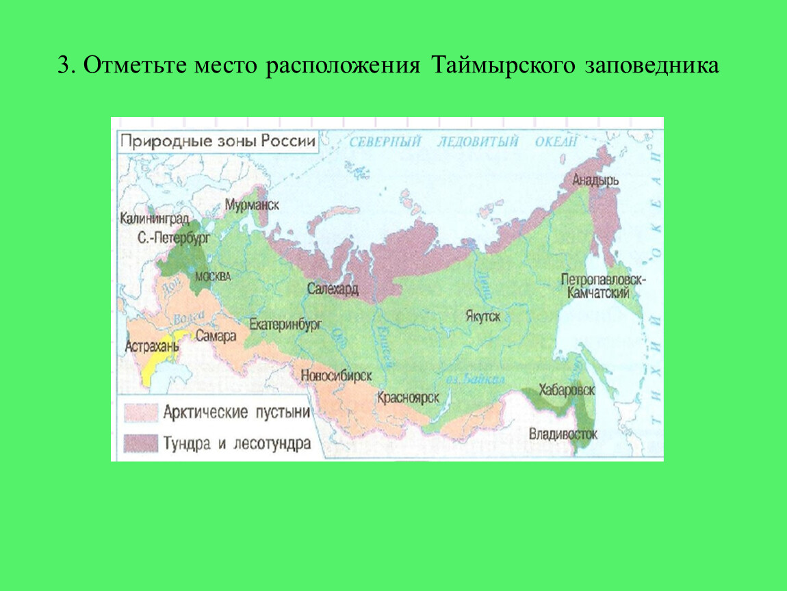 Природные зоны россии сочи