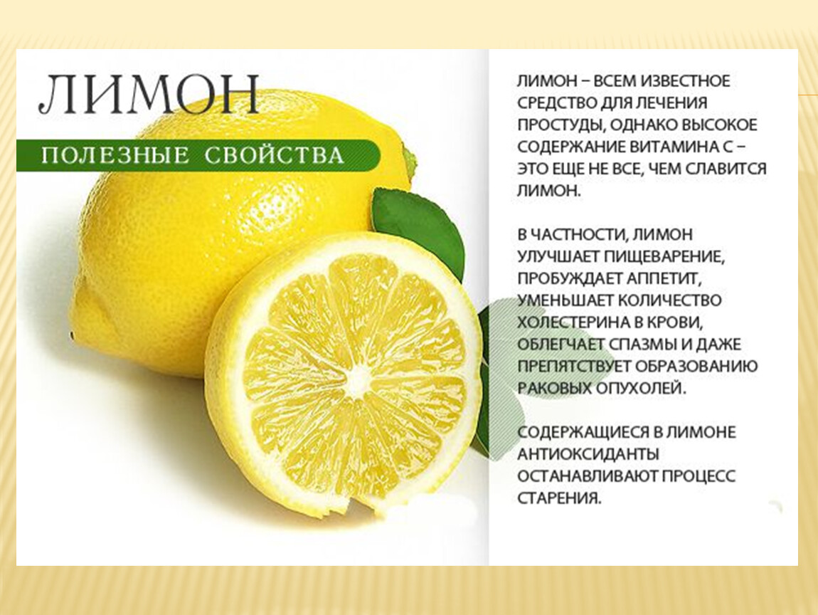 Лимон польза и вред для здоровья. Полезные свойства лимона. Полезные свойства ьемона. Польза лимона. Лимон полезные качества.