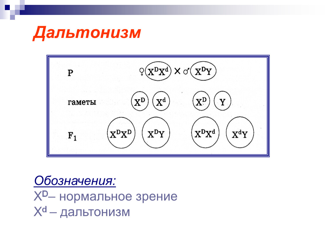 Отец дальтоник. Дальтонизм Тип наследования. Дальтонизм генетика. Дальтонизм причины. Дальтонизм хромосомное заболевание.