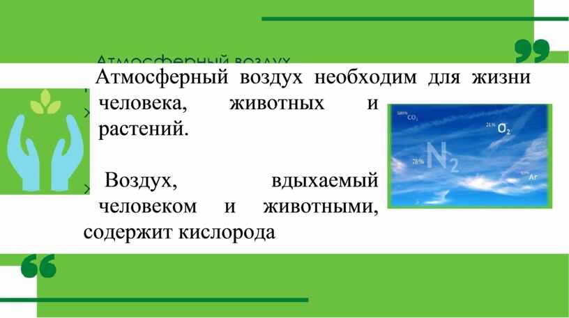 Зависимость растения атмосферный воздух здоровье людей кратко