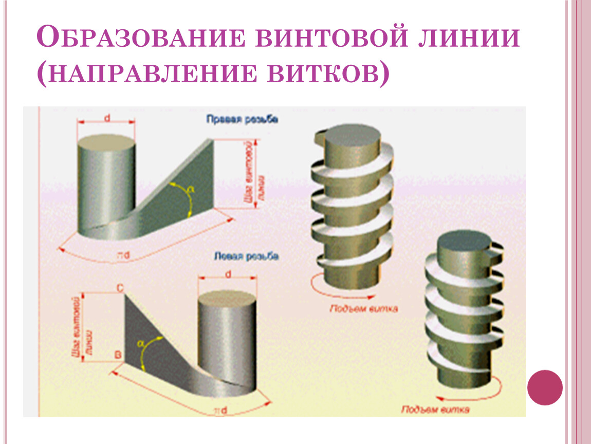 Винтовые цилиндрические поверхности. Образование винтовой линии и винтовой поверхности. Виток винтовой линии. Образование винтовой линии резьбы. Развертка винтовой линии.
