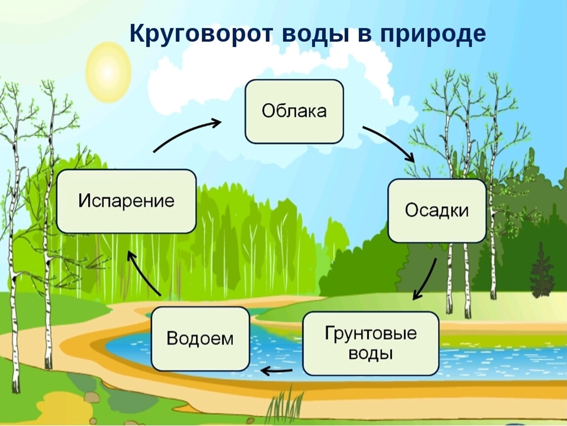 Дополни схему водоемы окружающий мир 2 класс