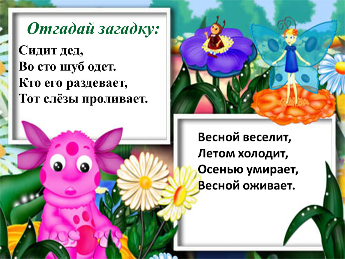 Кто деда одевает тот слезы. Отгадай загадку сидит дед 100 шуб одет кто его одевает слезы проливает. Загадки. Отгадай загадку его раздеваешь слезы проливаешь. Загадки сидит дед во СТО шуб одет кто его раздевает-слëзы проливает.