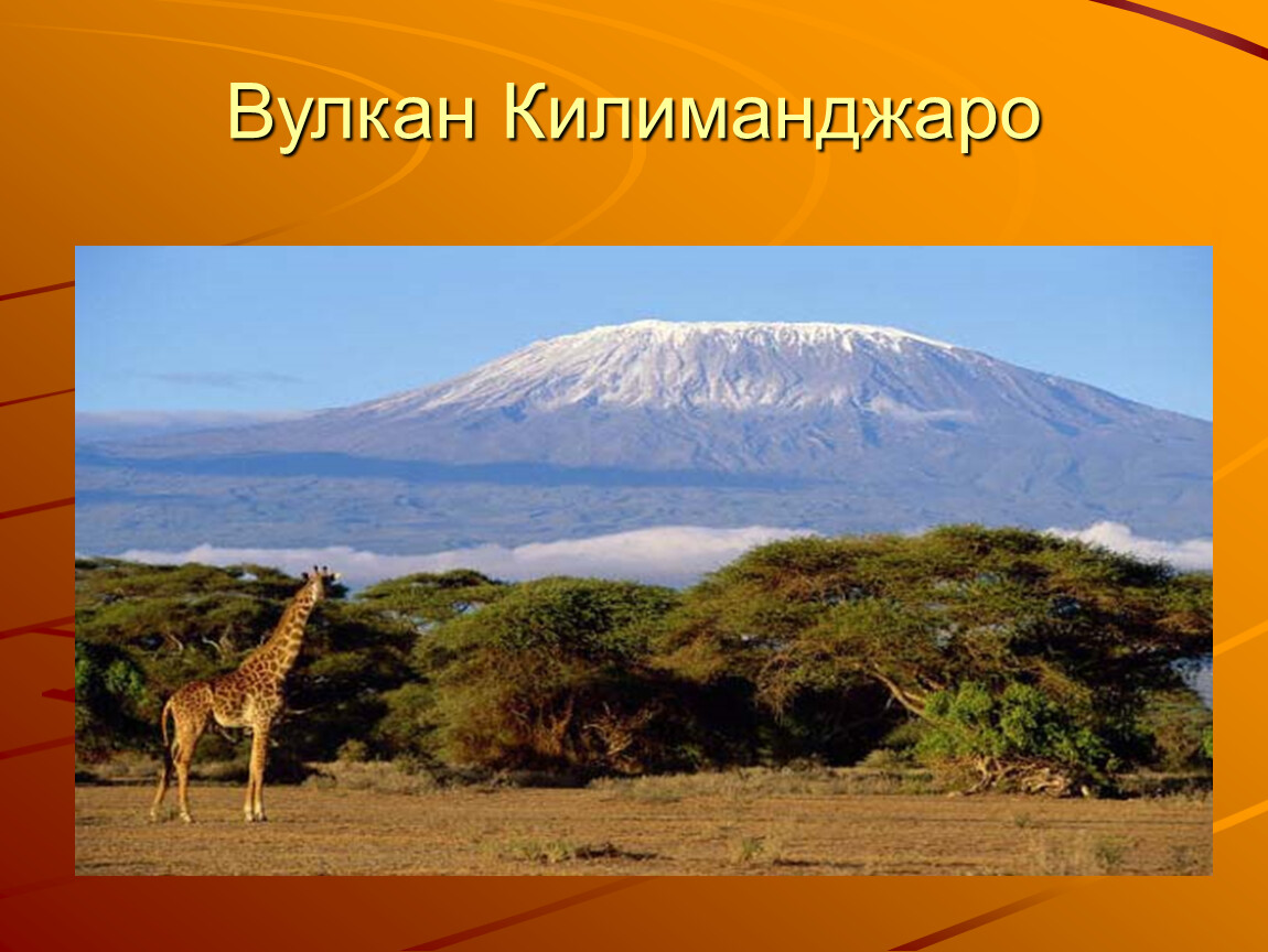 Африка самый высокий. Вулкан Килиманджаро 5895 м. Потухший вулкан Килиманджаро. Координаты вулкана Килиманджаро в Африке. Вулканы: Килиманджаро, Камерун.