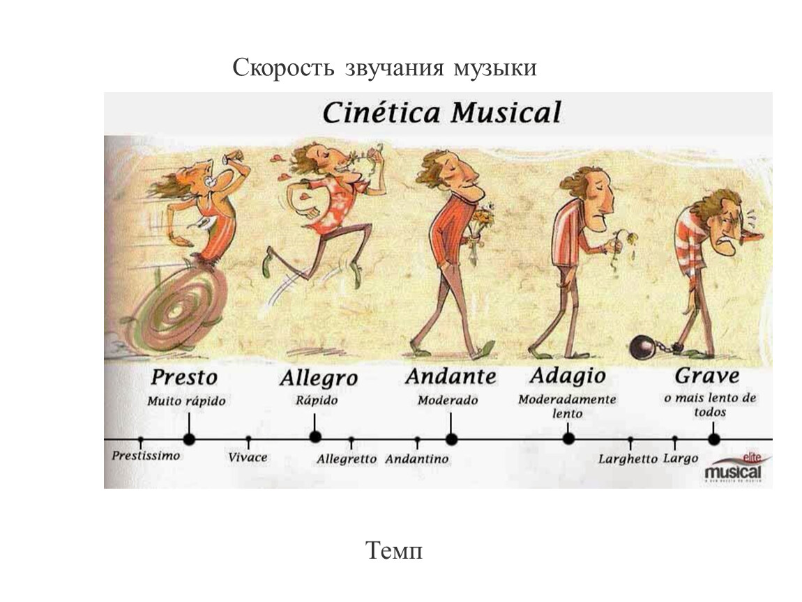 Музыкальный темп 8 букв