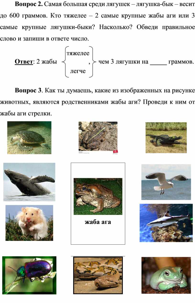 Комплексная работа 3 класс жаба ответы