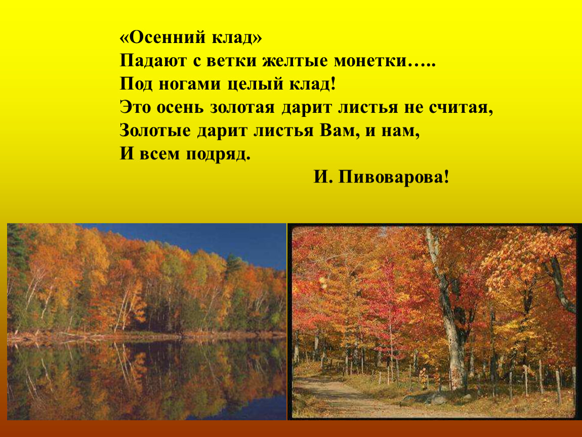 Времена года осень презентация. Презентация времена года осень. Осенний лес для презентации. Презентация красота осени. Презентация осень 4 класс.