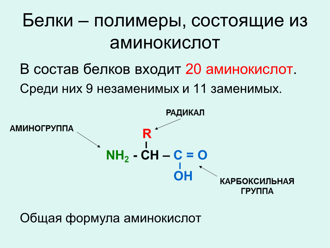 Состав радикалов аминокислот. Классификация аминокислот по строению. Химия 10 класс белки полимеры. A аминокислоты входящие в состав белков имеют. Физико химическая классификация аминокислот.
