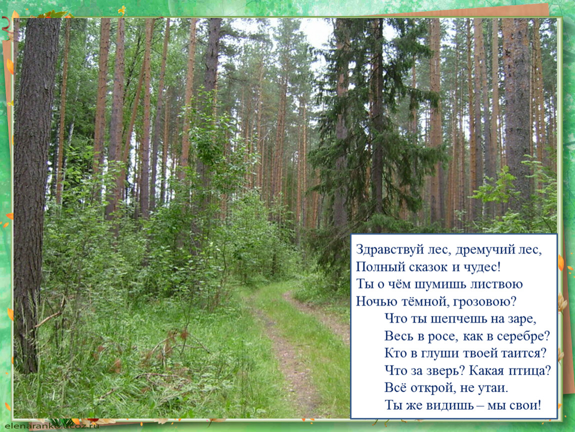 Чем гуще лес скибиди доп. Здравствуй лес дремучий лес. Лес полный сказок и чудес. Здравствуй лес дремучий лес Автор. Здравствуй лес дремучий лес полный сказок и чудес.