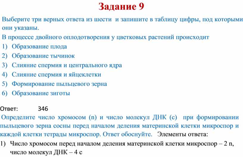 Распределите данные программы на три вида результат запишите в таблицу ms word