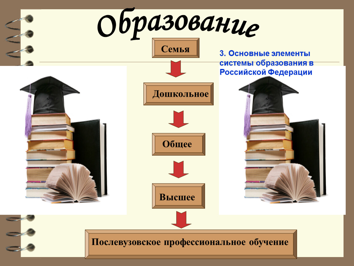 Лицей ступень образования. Стпени образование в Росиии. Система образования. Система образования картинки. Элементы системы образования.