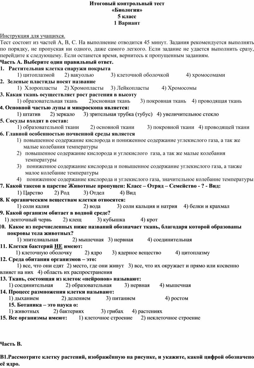 Промежуточная аттестация 5 класс биология. Промежуточная аттестация по биологии 6 класс с ответами. Промежуточная аттестация по биологии 6 класс 2024. Промежуточная аттестация по биологии для 5 класса 2024г. Промежуточная аттестация по биологии 5 класс