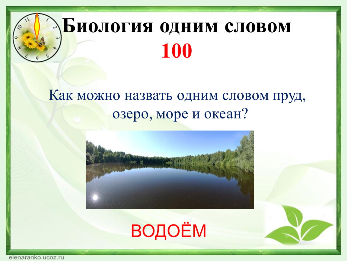 Озера перечислить. Биология одним словом. Как можно назвать одним словом. Водоемы слово. Реки и озера одним словом.