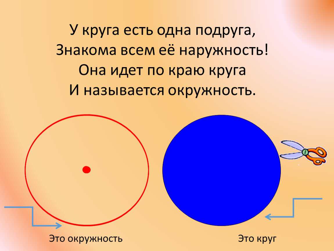 Сколько кругов составлял. Окружность. Окружность и круг картинки. Что есть у круга. Окружность и круг в жизни картинки.