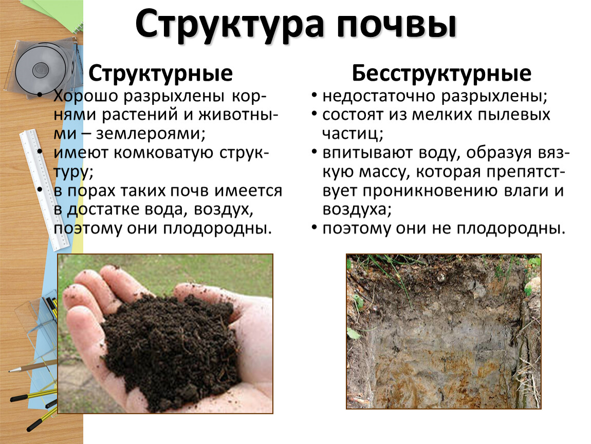 Различие почв бесструктурные. Комковато-зернистая структура почвы. Плитчатая структура почвы. Структурная почва. Почва структура почвы.