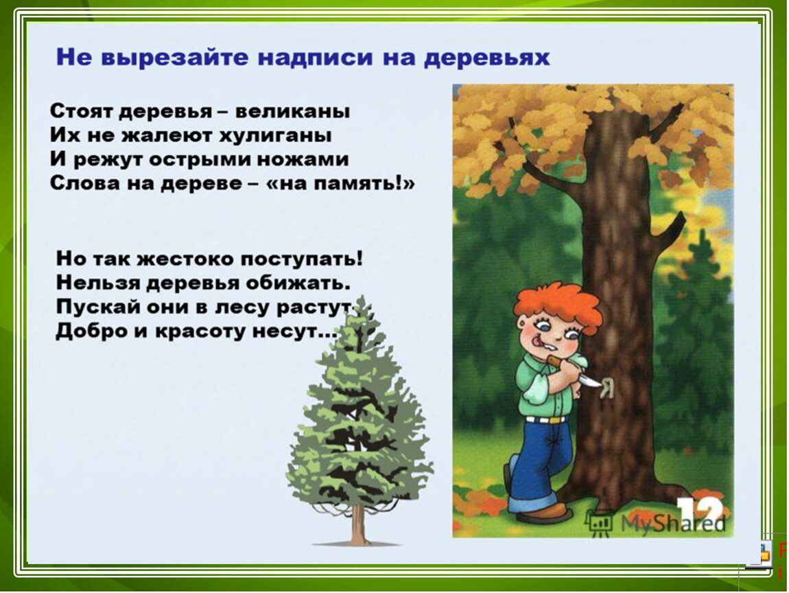 Цифра 3 слова деревьев. Поведение в лесу для дошкольников. Правила поведения в лесу. Правила поведения в Дему. Стихи о правилах поведения в лесу для детей.