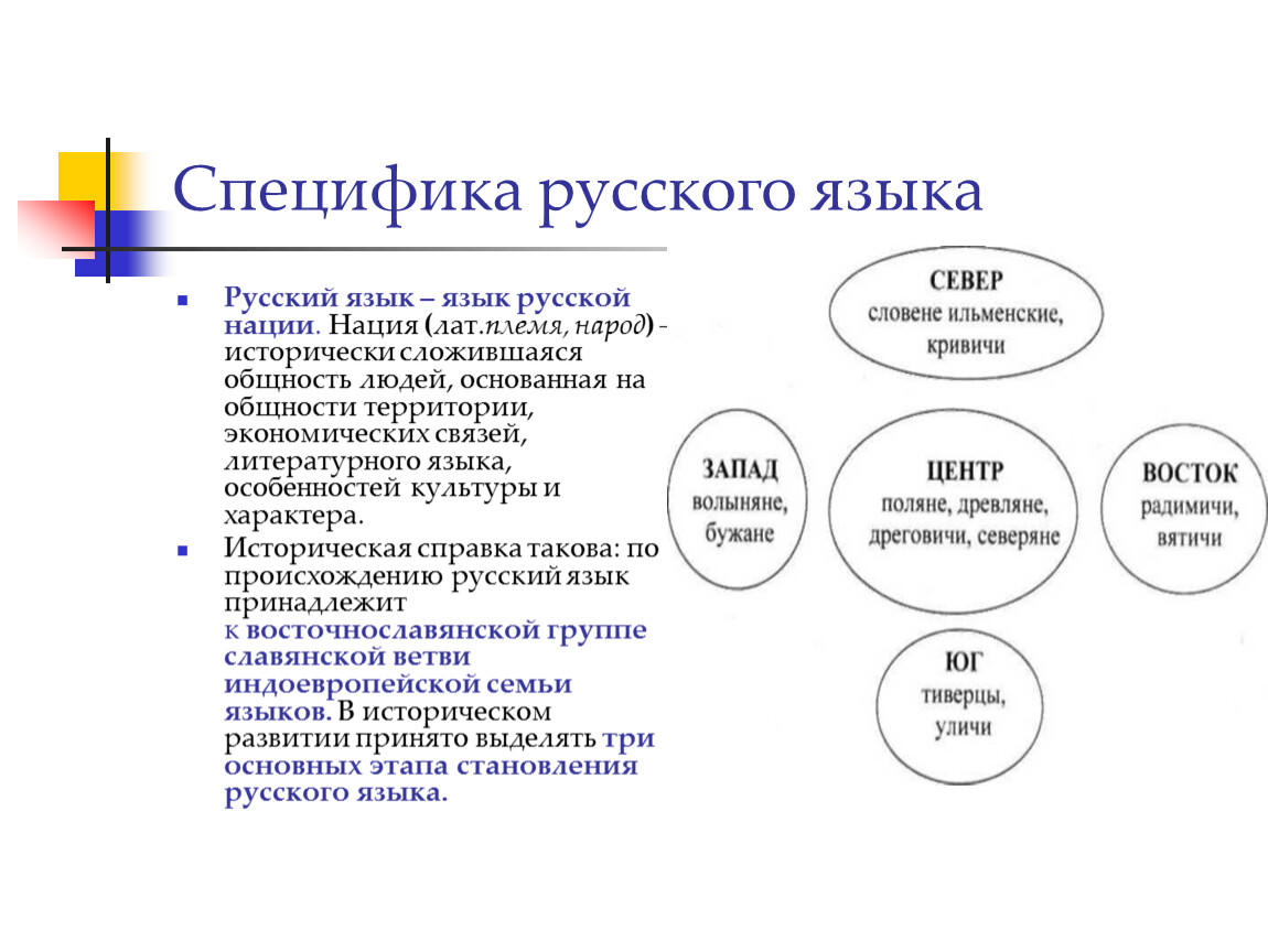 Специфика русской. Особенности русского языка. Особенности русского языкк. Особенности русского языка кратко. Специфика русского языка.