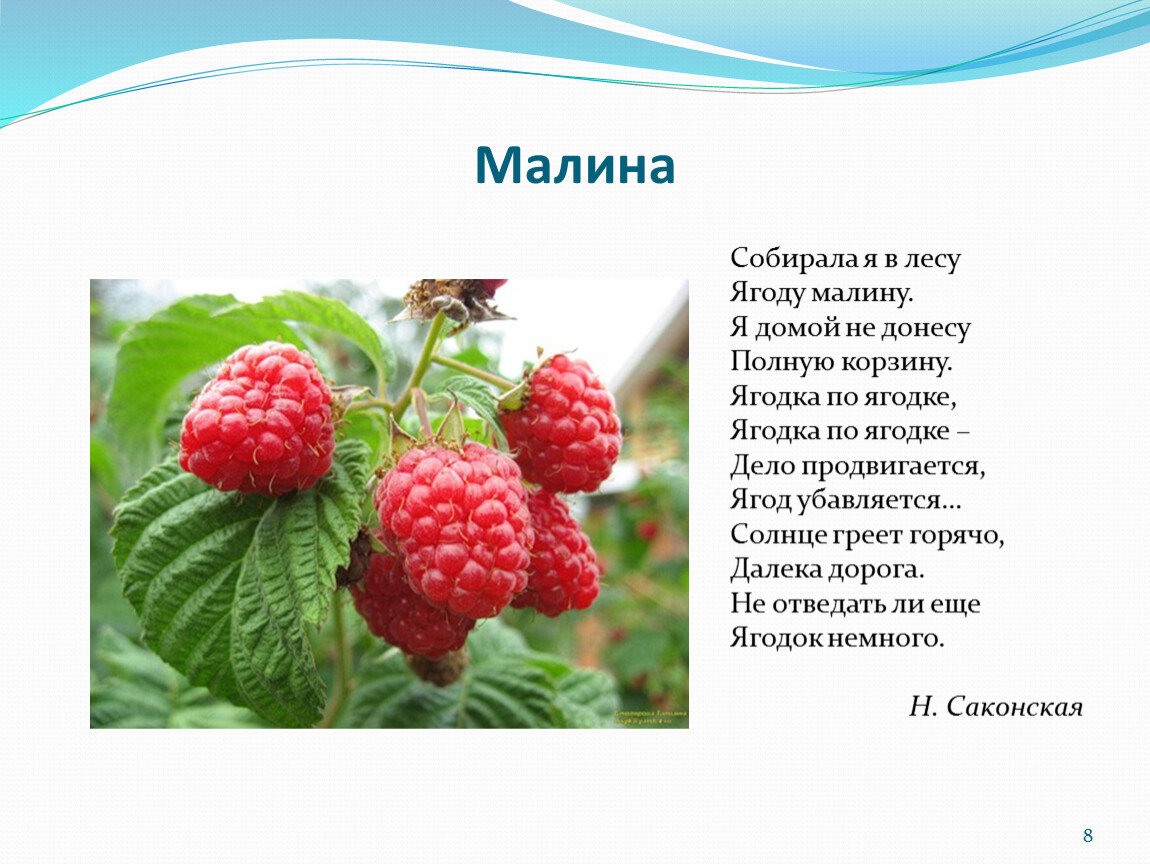 Песня собирала ягодку. Стих про малину. Стихи о ягоде Малине. Стих про малину для детей. Стих о Малине для детей.