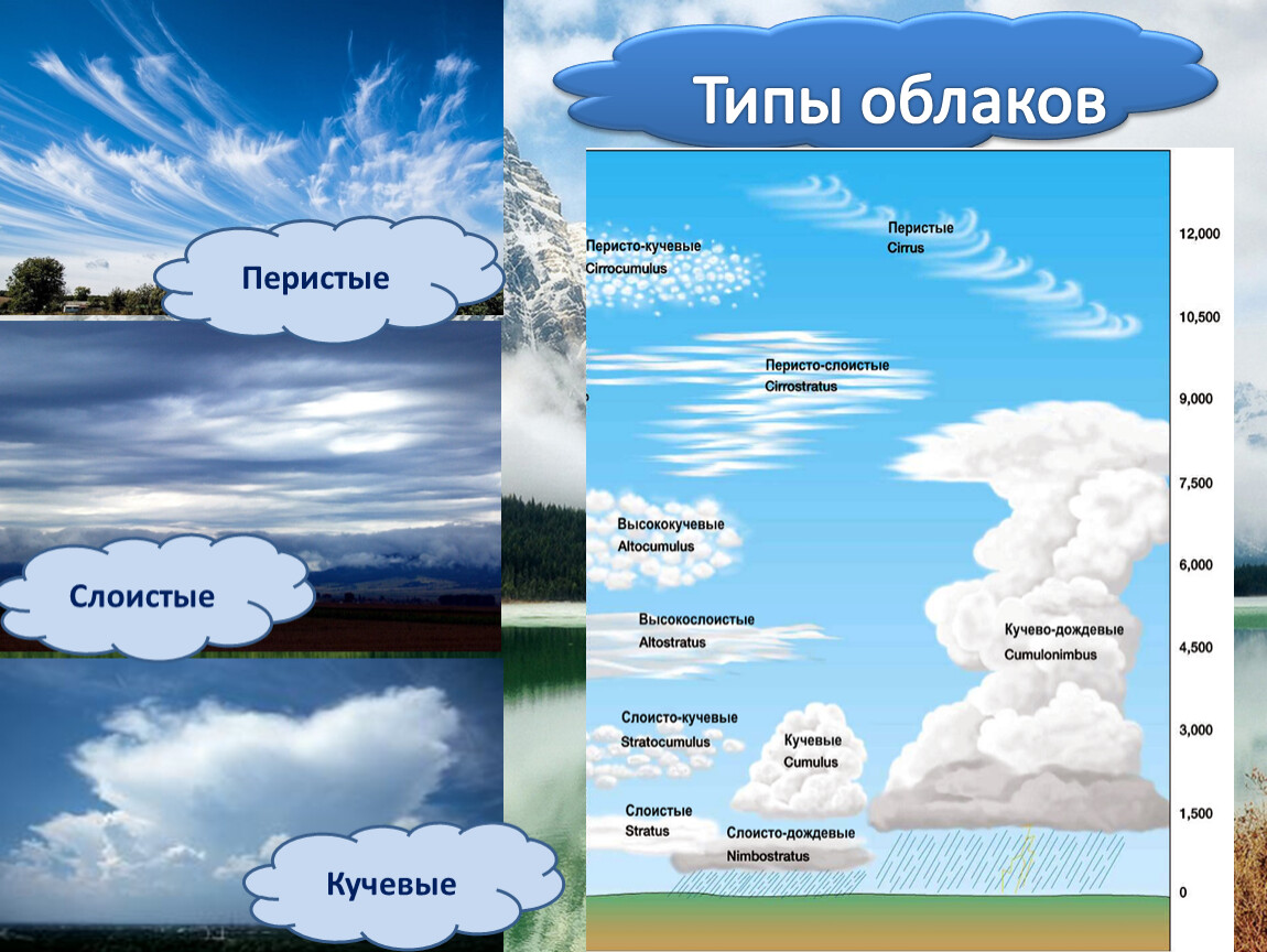 Схема облаков. Перистые,Слоистые, кучево дождевые, Кучевые облака. Тип облаков перисто-Слоистые. Перистые облака Кучевые облака Слоистые облака. Перистые Слоистые кучерявые облака.
