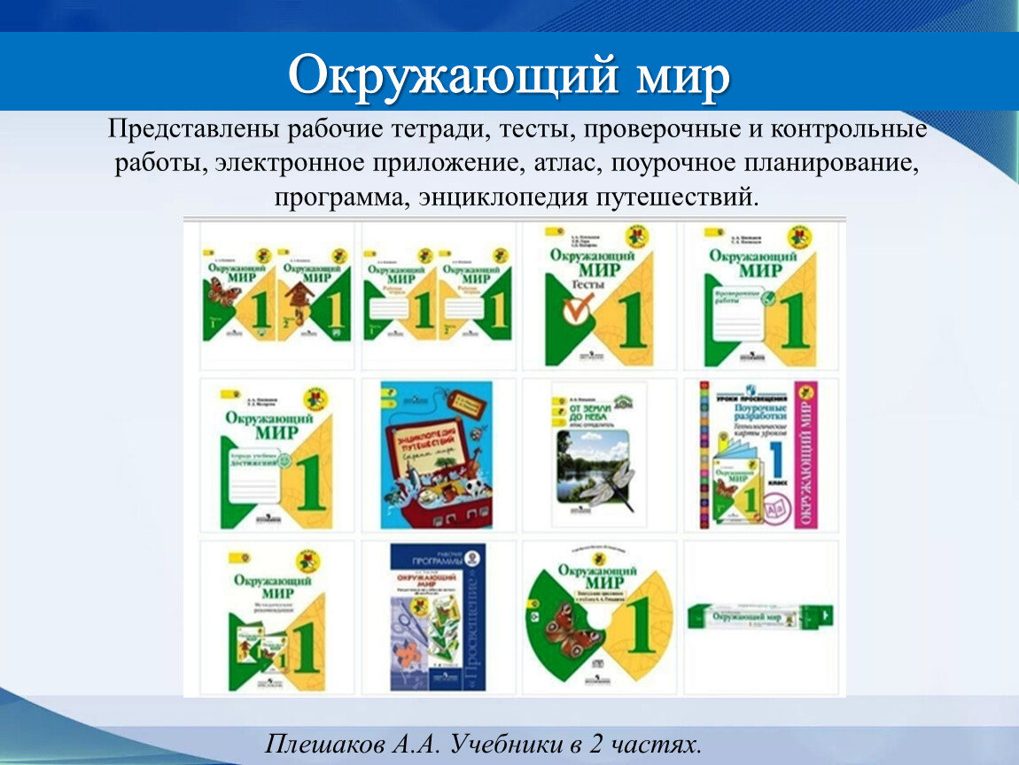 3 класс школа россии окружающий мир общество презентация