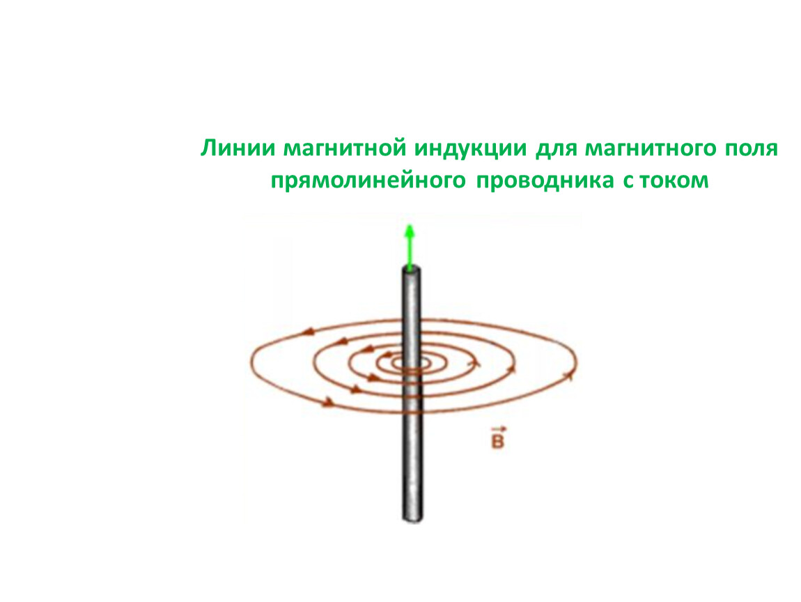 Магнитное поле магнитного круга. Линии индукции магнитного поля прямого проводника. Нарисуйте линии магнитной индукции проводника с током. Линии магнитной индукции поля. Линии магнитной индукции прямого проводника.