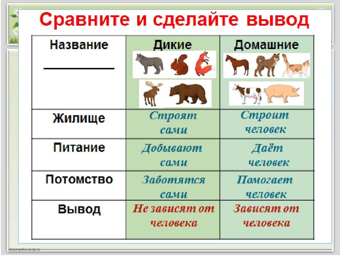Тема домашние животные 3 класс. Дикие и домашние животные. Дикие и домашние животные таблица. Сравнение диких и домашних животных. Дикие и домашние животные презентация.