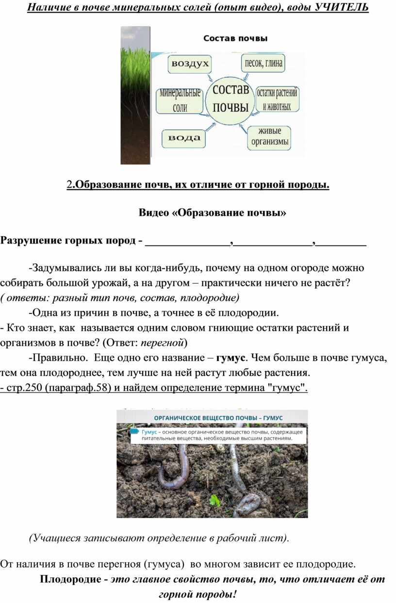 Конспект урока географии 6 класс 