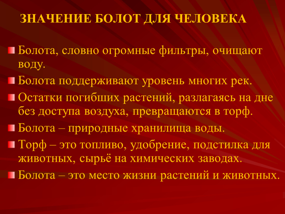 Значение болот. Значение болота для человека. Значение болот для человека. Лексическое значение болота. Значение болота для животных.