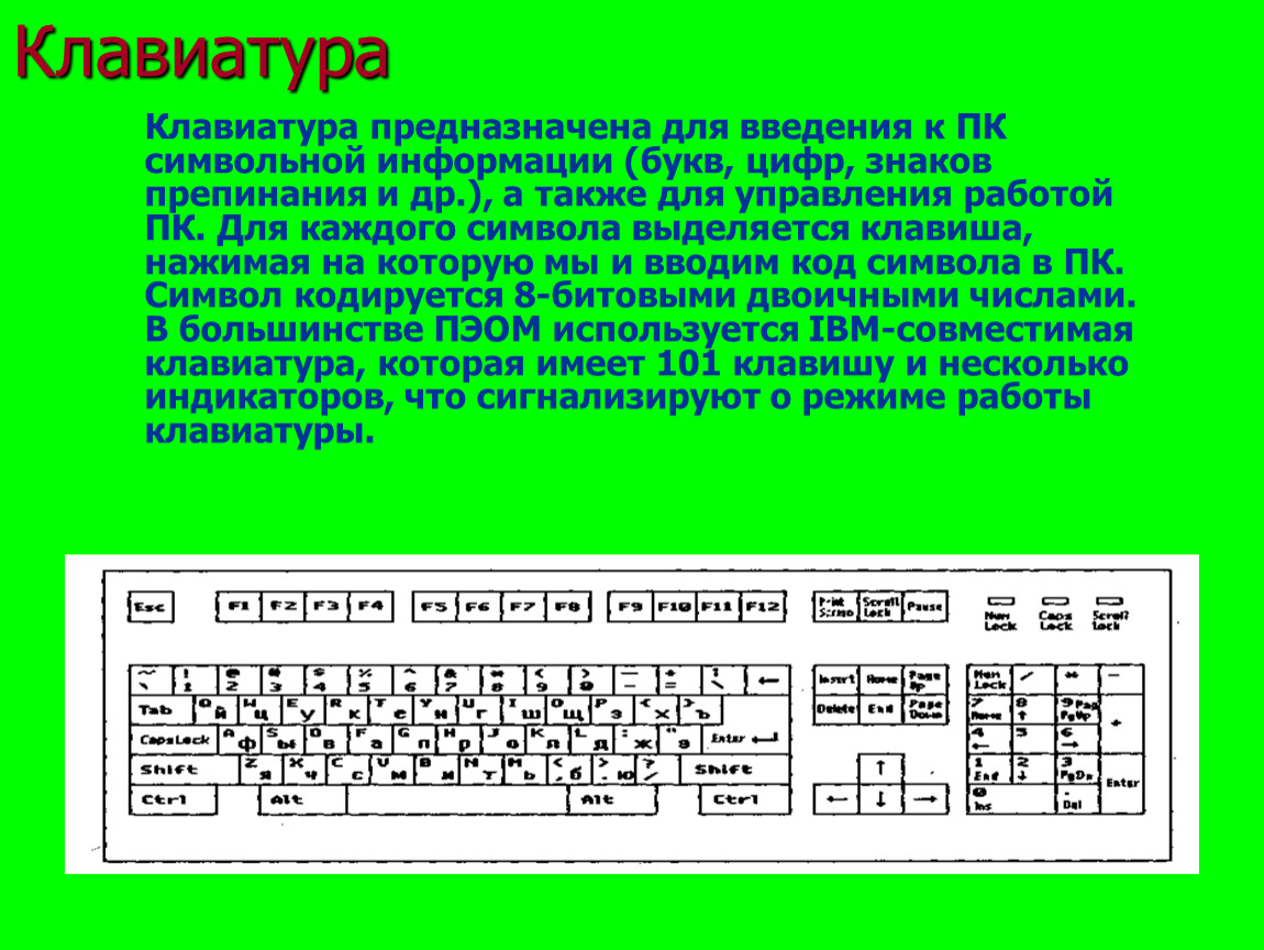 Нижняя строка клавиатуры. Клавиатура предназначена для. Для чего предназначена клавиатура. Выделить на клавиатуре. Как всё выделить на клавиатуре.