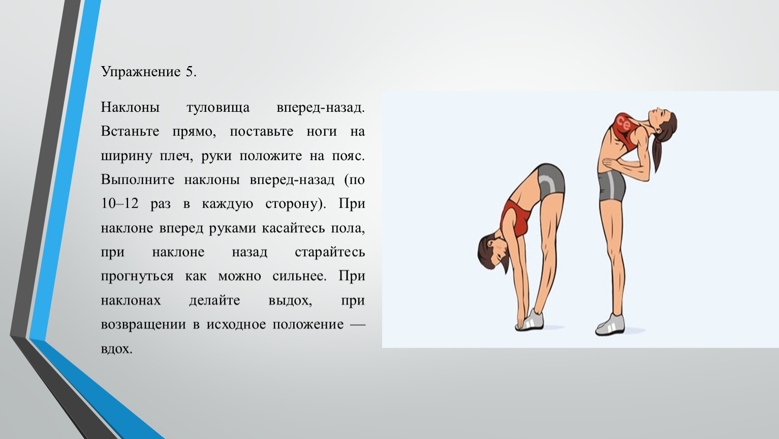 Что означает вперед. Наклоны туловища вперед назад. Упражнение наклоны туловища. Упражнение наклоны туловища вперед. Наклоны корпуса упражнение техника.