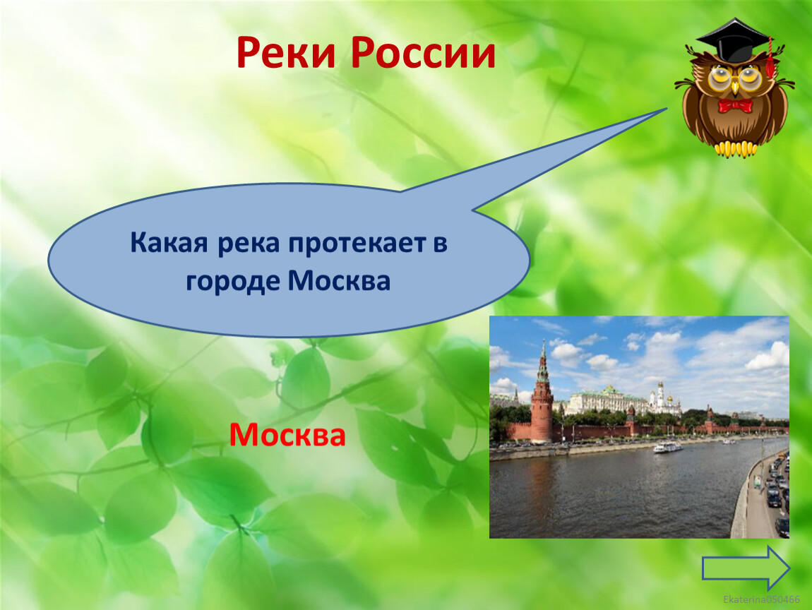 Москва какая река протекает в городе. Москва река окружающий мир 4 класс. Урок КВН окружающий мир. Город на Неве презентация 2 класс окружающий мир Плешаков.